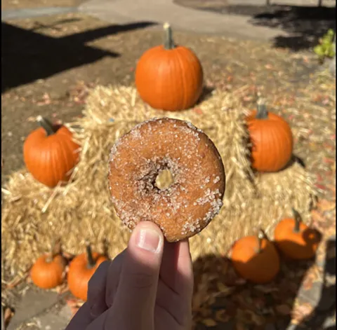 Fall Harvest Festival 2025