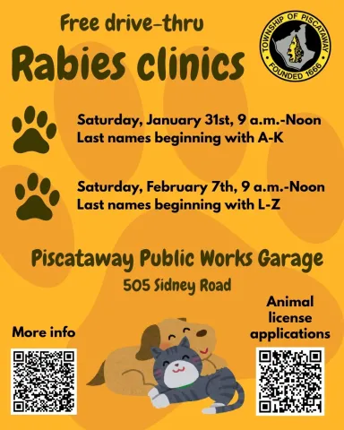 Rabies clinics